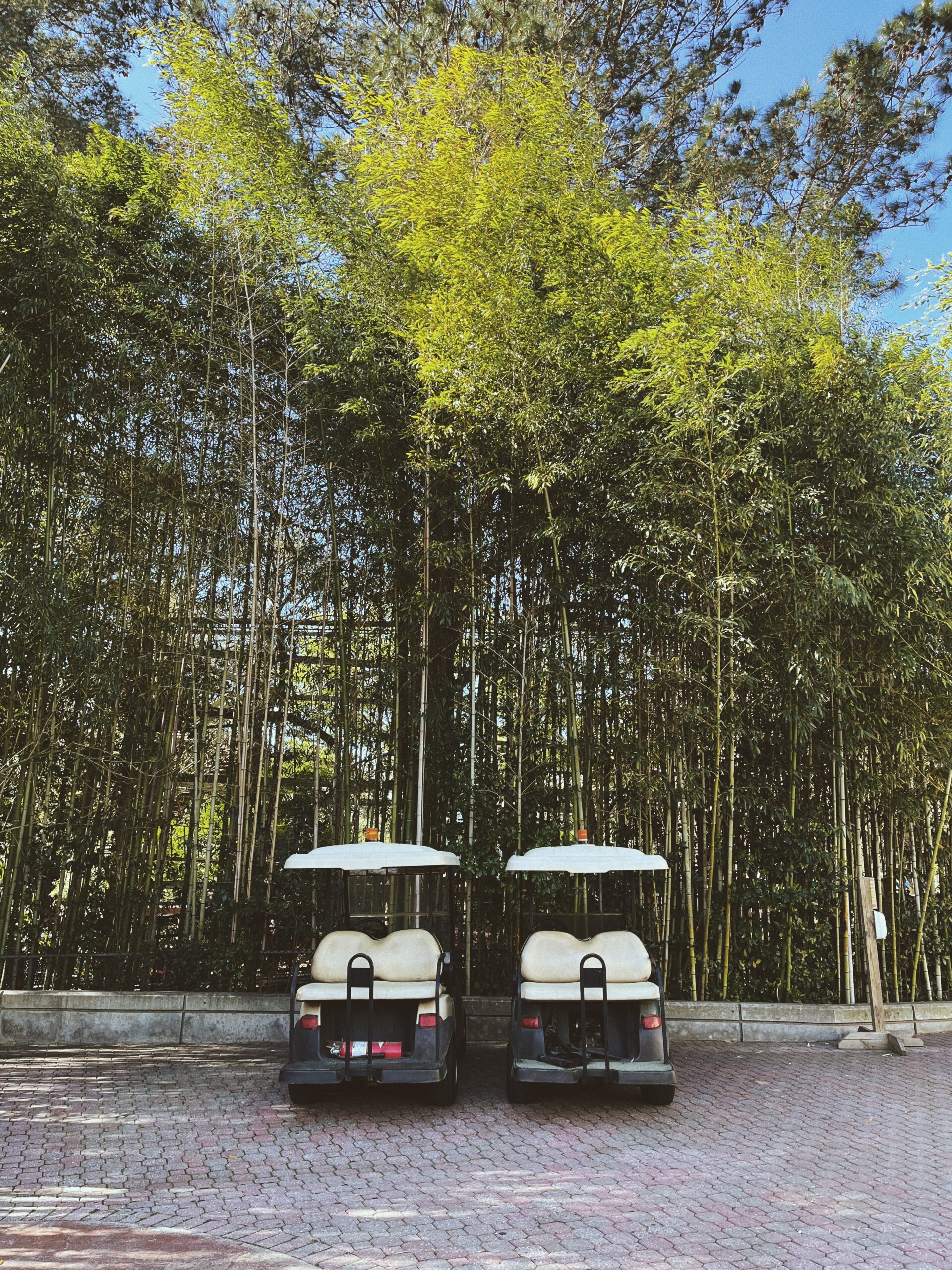 Florida's New Golf Cart Law Avria Community Management